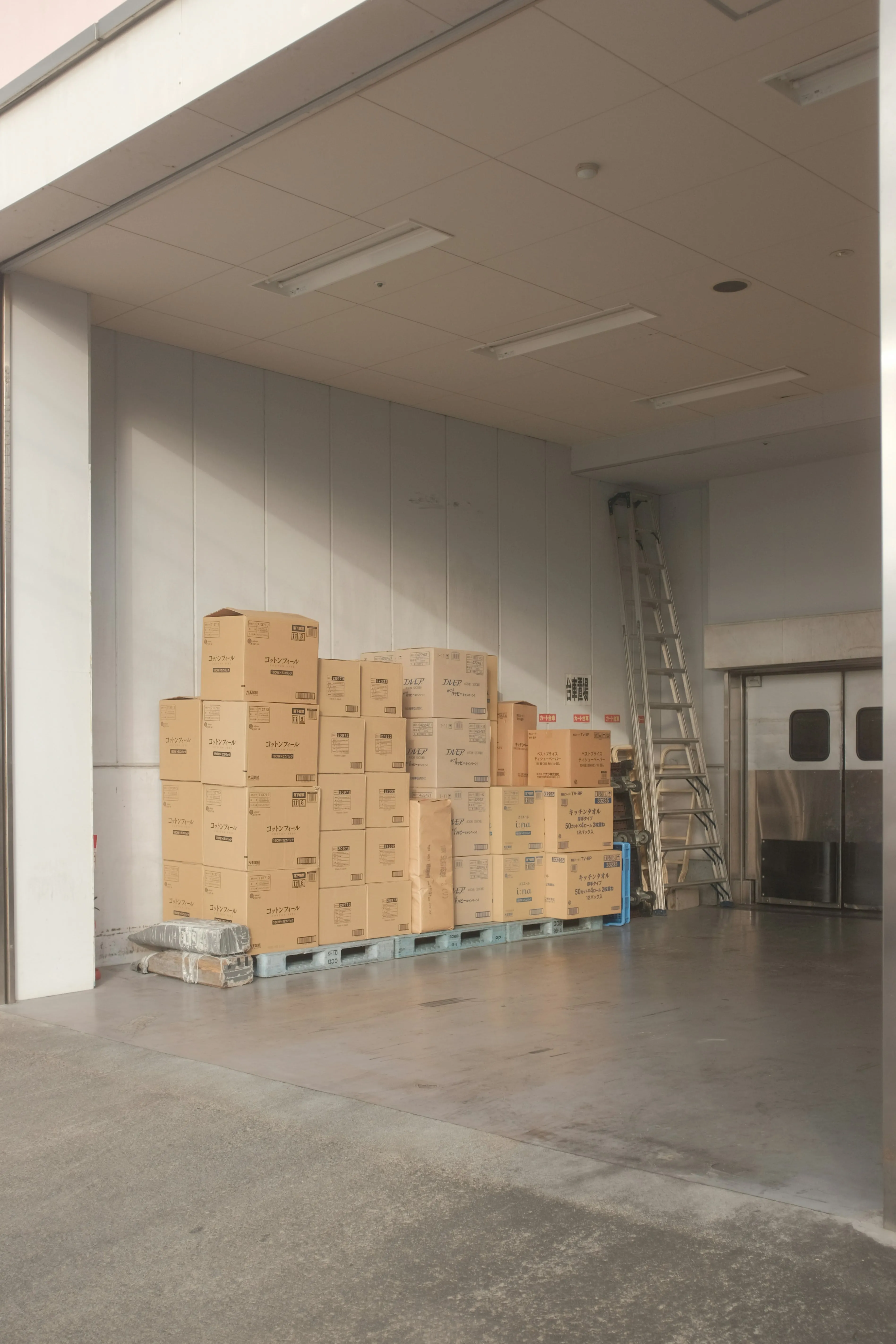 Premier 2025 Residential Commercial Moving Installation In Issaquah, WA