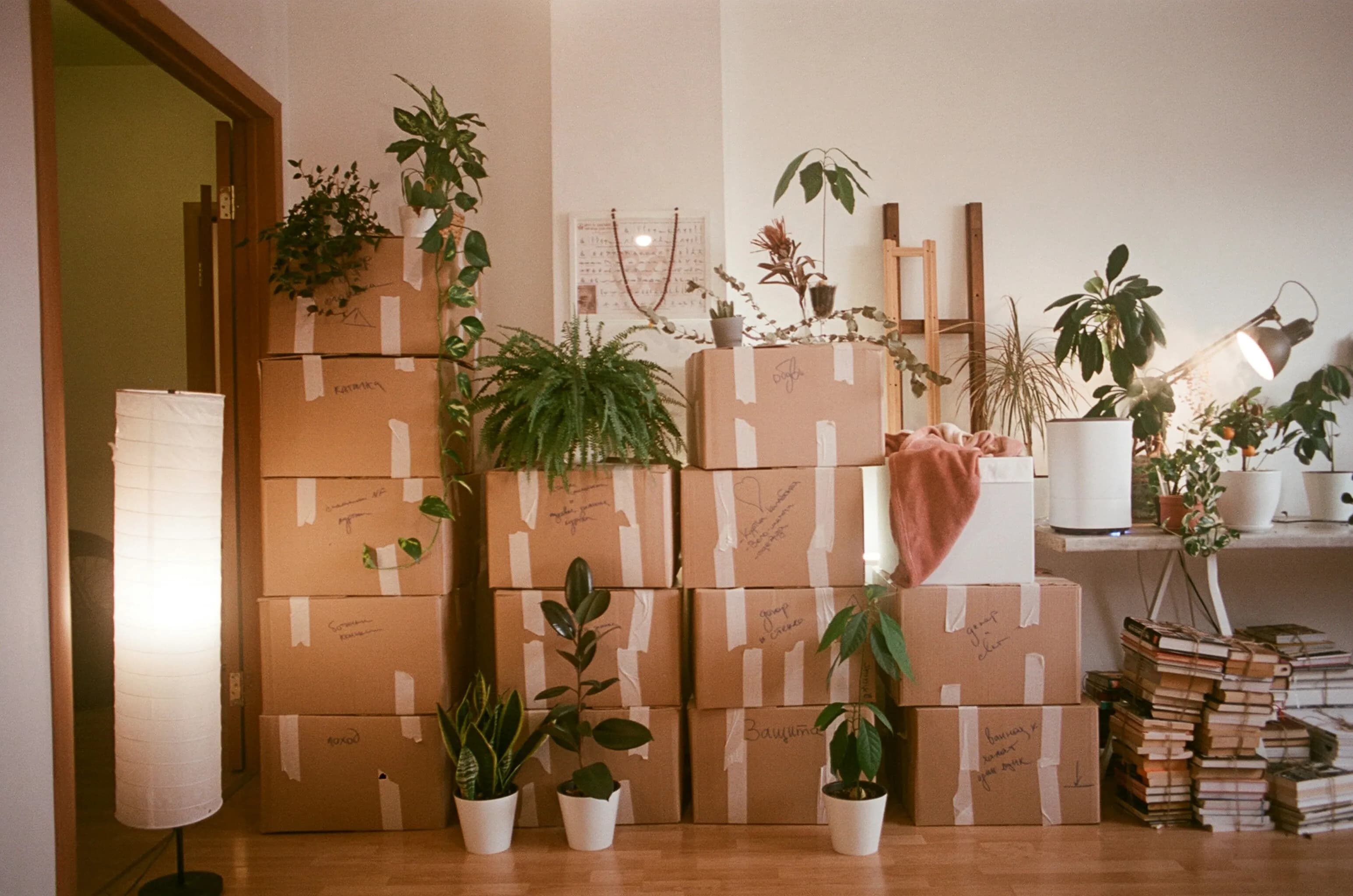 Local Movers Renton, WA | Residential Moving Experts