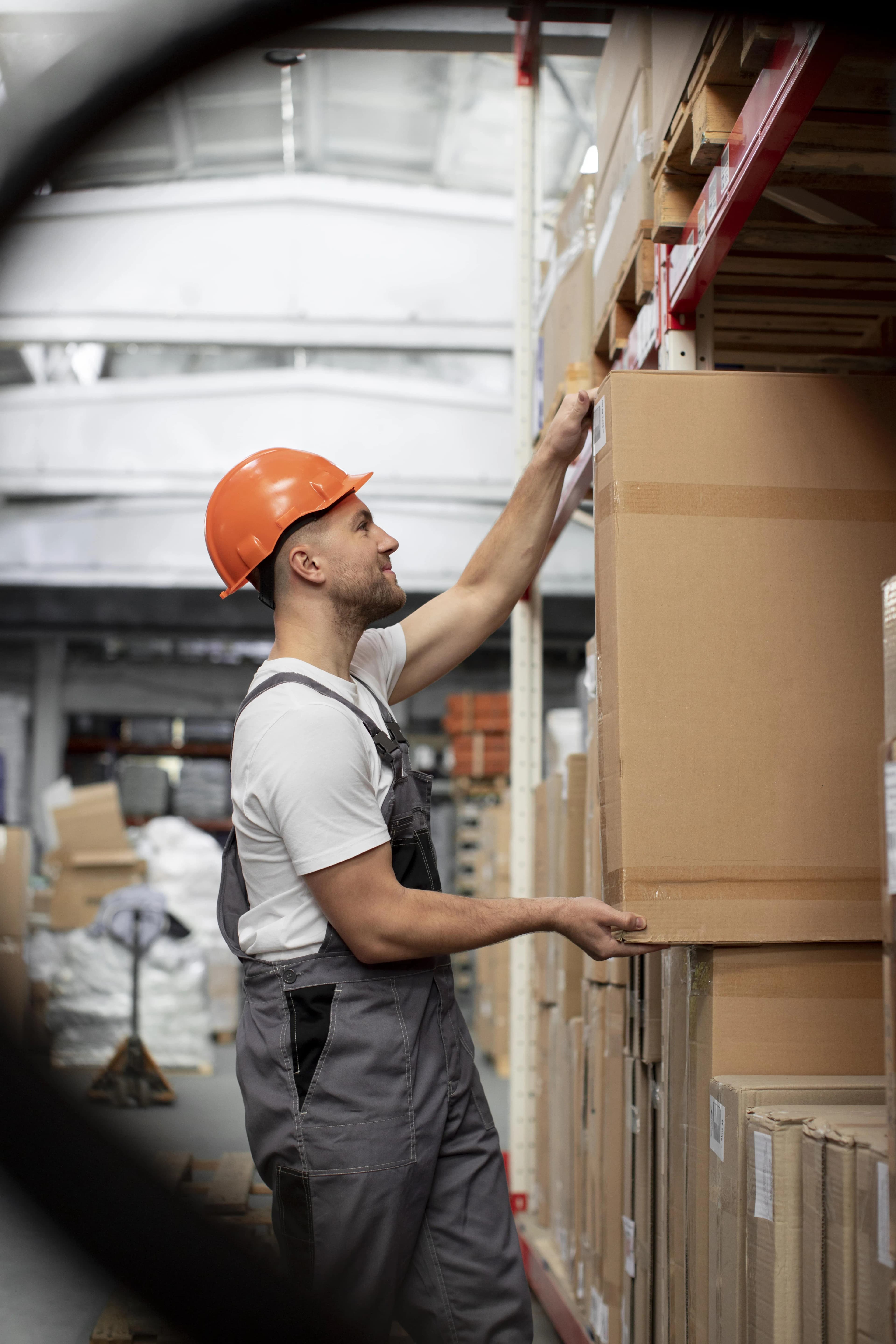 Streamlined Local Moving Services: Expert Support For A Hassle-Free Relocation In The Seattle Area