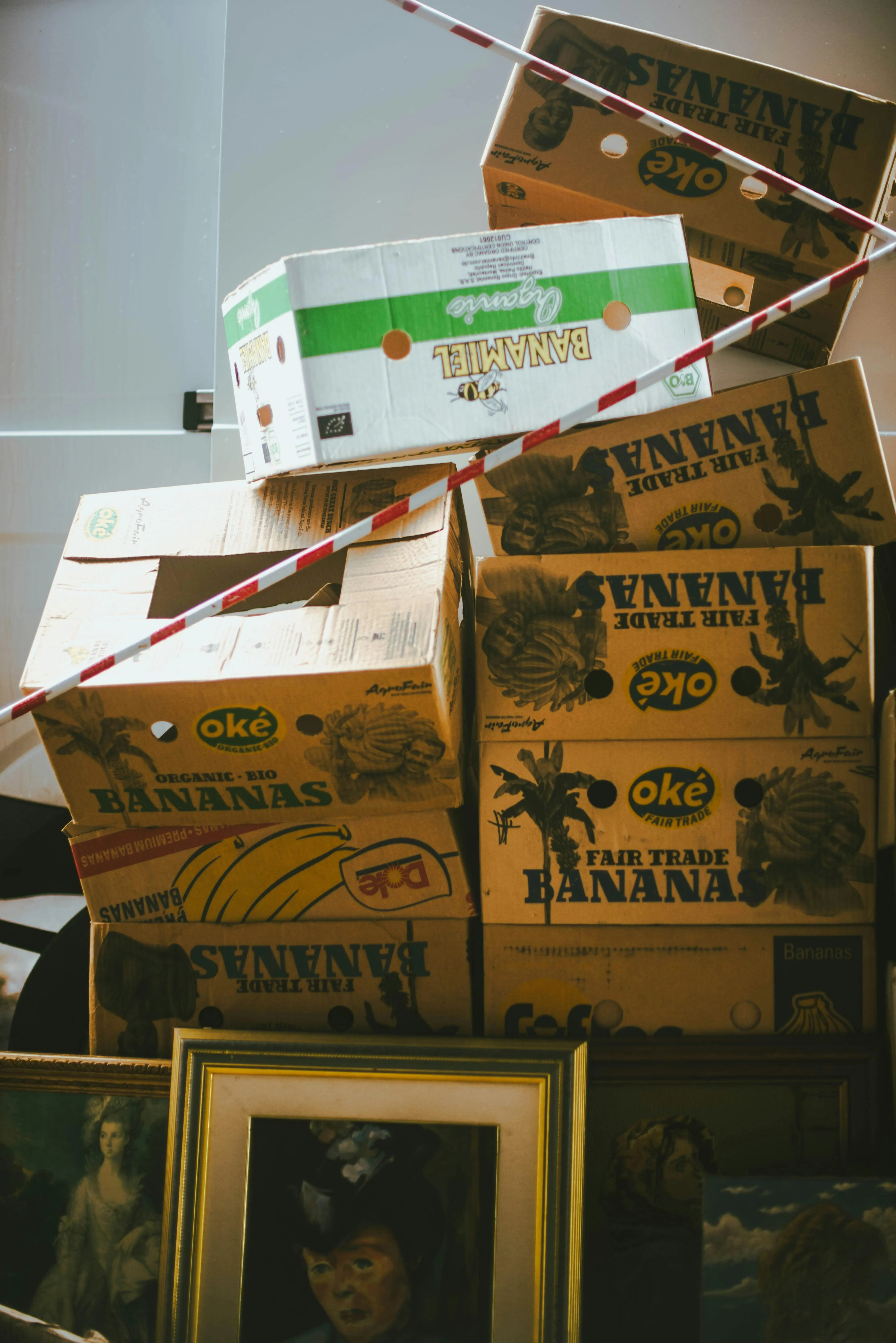 Top Reasons To Choose Our State To State Movers For Business Relocation