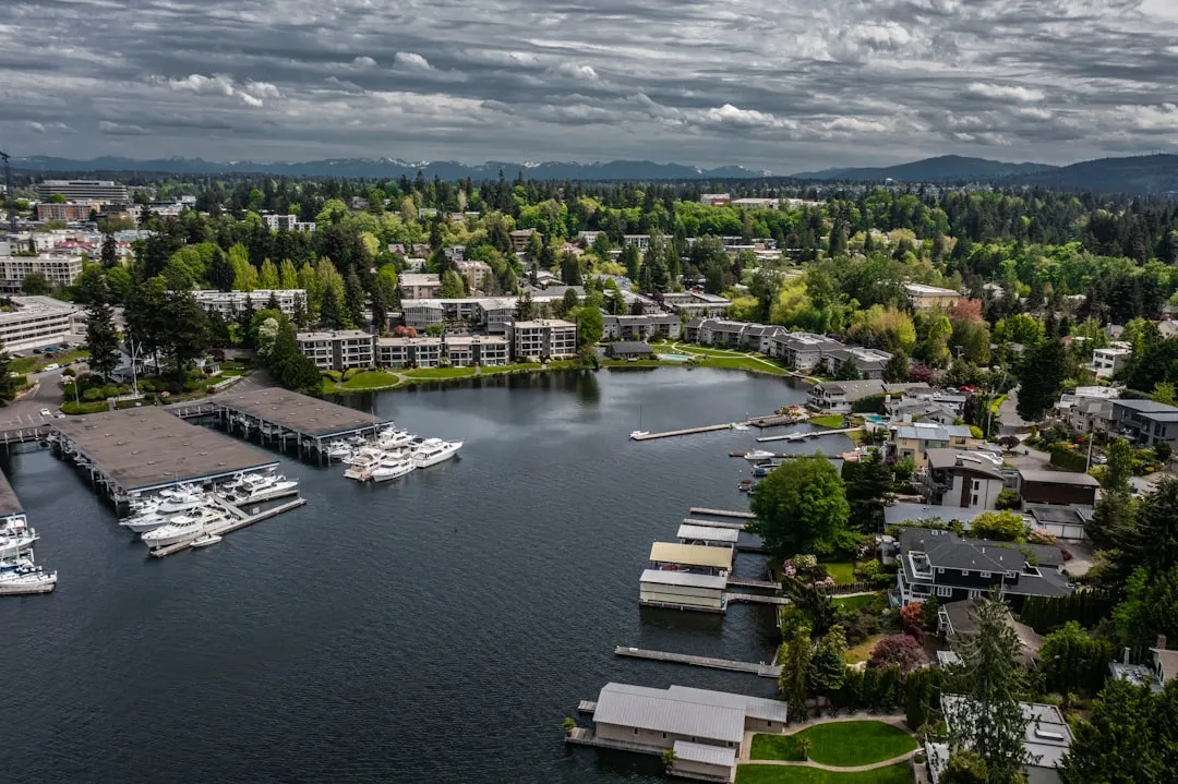 Don't Lift Alone With These Bellevue Moving Labor Tips