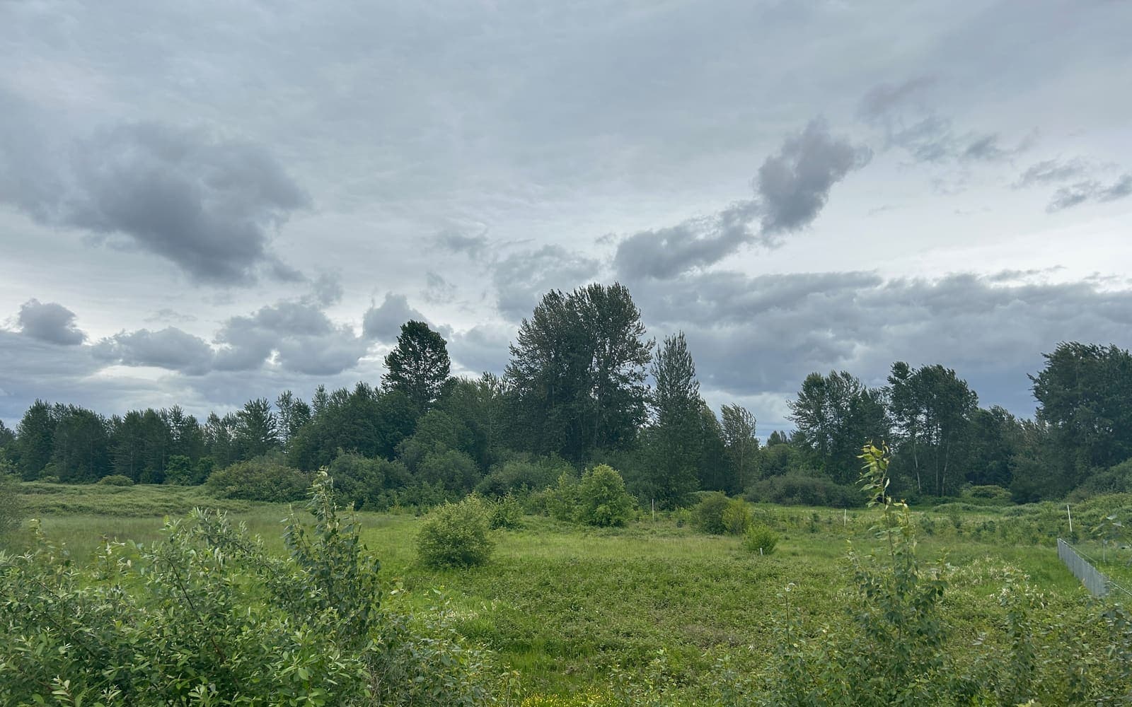 Green River Natural Resources Area near Covington, Washington